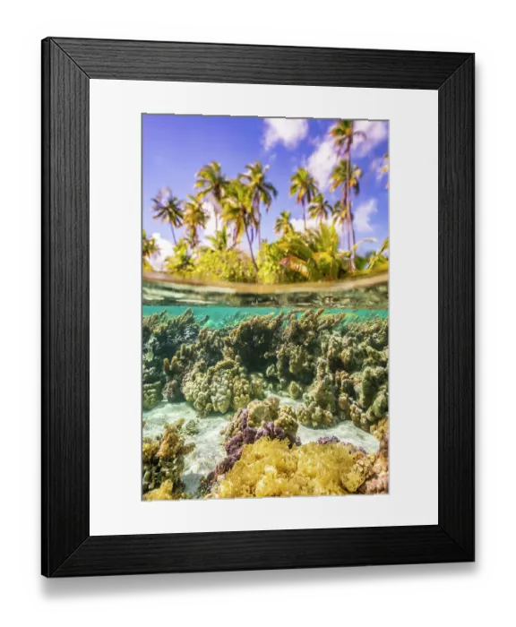 Framed Print : French Polynesia, Taha'a. Under / above water split of coral and palm trees