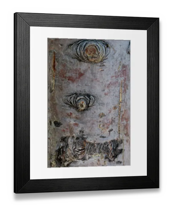 Framed Print : Bark detail, Yellowstone National Park, Wyoming, USA Framed Print : Bark detail, Yellowstone National Park, Wyoming, USA