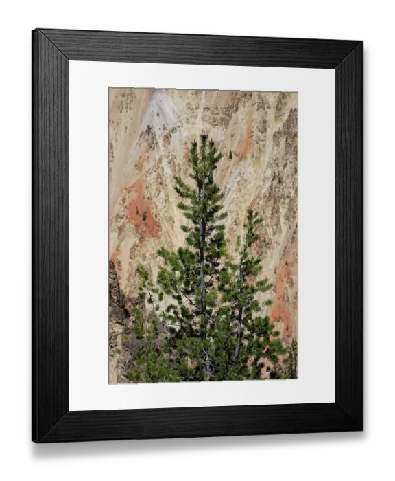 Framed Print : Artist Point, Grand Canyon of the Yellowstone, Yellowstone National Park, Wyoming, USA Framed Print : Artist Point, Grand Canyon of the Yellowstone, Yellowstone National Park, Wyoming, USA