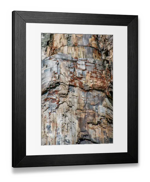 Framed Print : Petrified tree, Yellowstone National Park, Wyoming, USA Framed Print : Petrified tree, Yellowstone National Park, Wyoming, USA