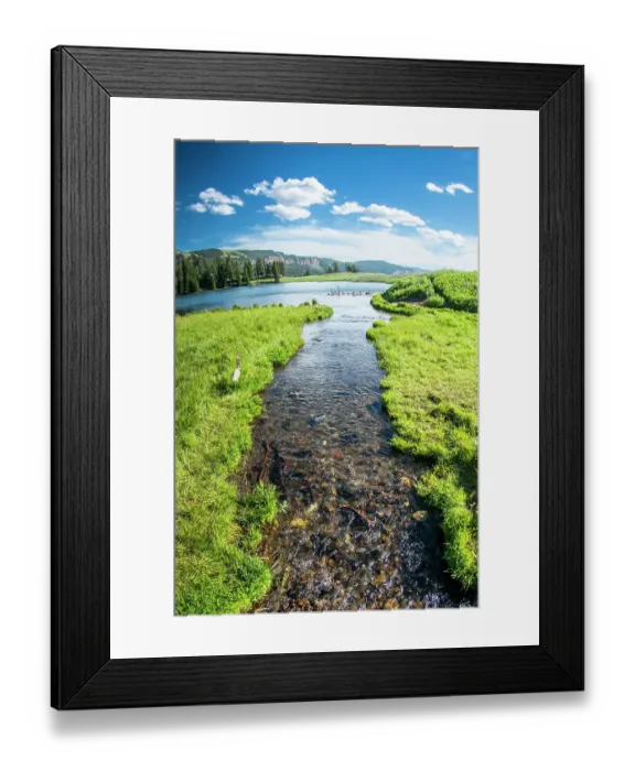 Framed Print : Trout Lake, Yellowstone National Park, Wyoming, USA