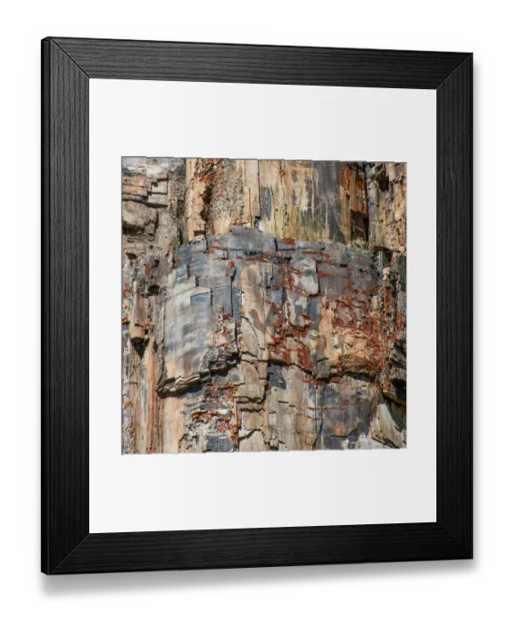 Framed Print : Petrified tree, Yellowstone National Park, Wyoming, USA Framed Print : Petrified tree, Yellowstone National Park, Wyoming, USA