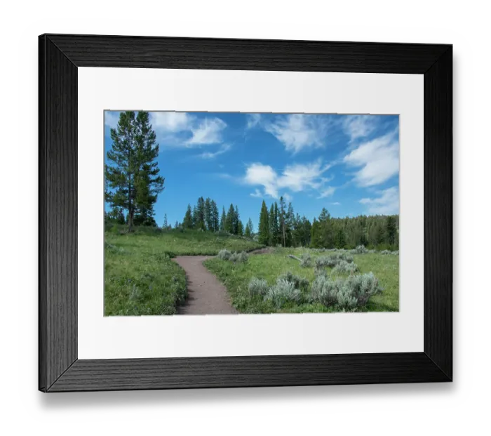 Framed Print : Wraith Falls Trail, Yellowstone National Park, Wyoming, USA