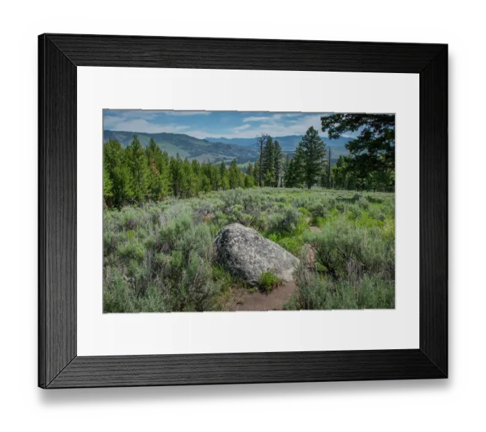 Framed Print : Yellowstone River Picnic Area, Yellowstone National Park, Wyoming, USA Framed Print : Yellowstone River Picnic Area, Yellowstone National Park, Wyoming, USA