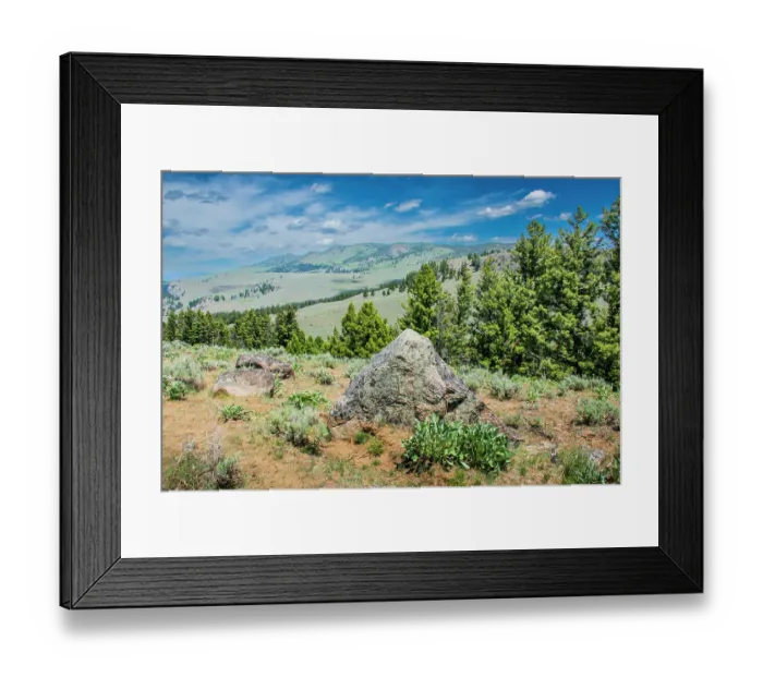 Framed Print : Yellowstone River Picnic Area, Yellowstone National Park, Wyoming, USA