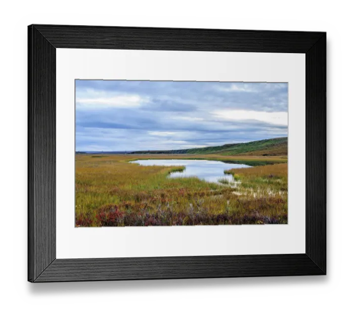 Framed Print : USA, Alaska, Noatak National Preserve. Wetlands in the arctic tundra Framed Print : USA, Alaska, Noatak National Preserve. Wetlands in the arctic tundra