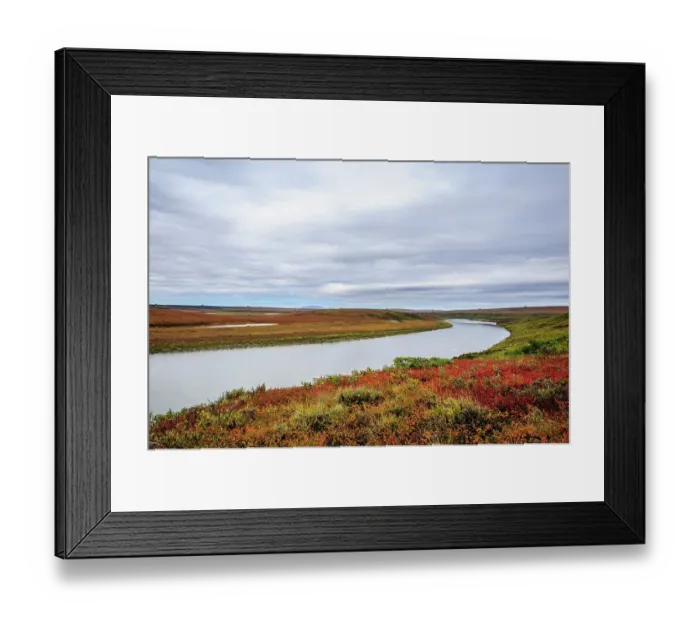 Framed Print : USA, Alaska, Noatak National Preserve. Autumn colors along the Noatak River