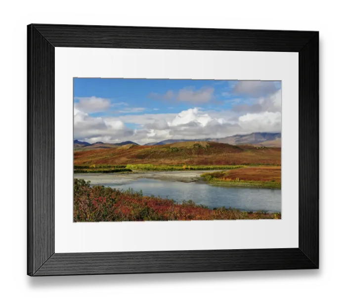 Framed Print : USA, Alaska, Noatak National Preserve. Autumn colors at the confluence between Noatak and Niniuktuk Rivers Framed Print : USA, Alaska, Noatak National Preserve. Autumn colors at the confluence between Noatak and Niniuktuk Rivers