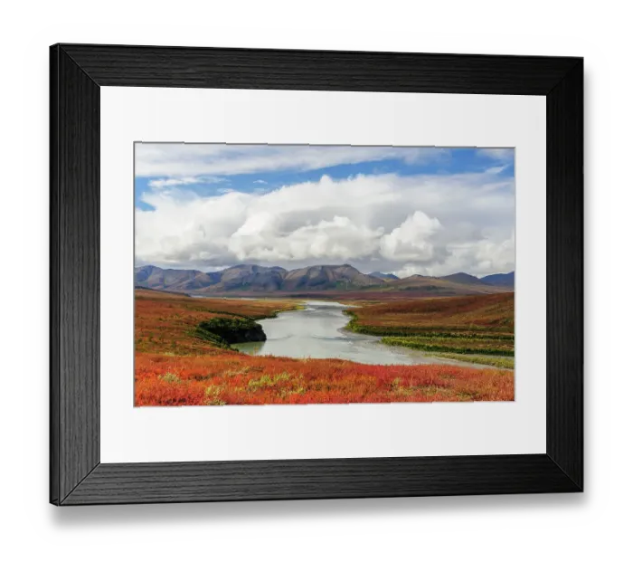 Framed Print : USA, Alaska, Noatak National Preserve. Arctic tundra in autumn colors along the Noatak River Framed Print : USA, Alaska, Noatak National Preserve. Arctic tundra in autumn colors along the Noatak River