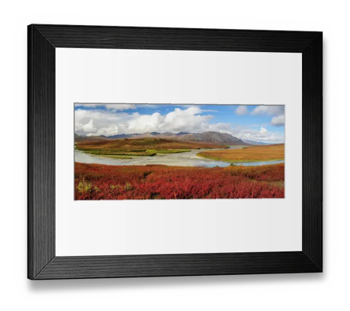 Framed Print : USA, Alaska, Noatak National Preserve. Autumn colors at the confluence between Noatak and Niniuktuk Rivers Framed Print : USA, Alaska, Noatak National Preserve. Autumn colors at the confluence between Noatak and Niniuktuk Rivers