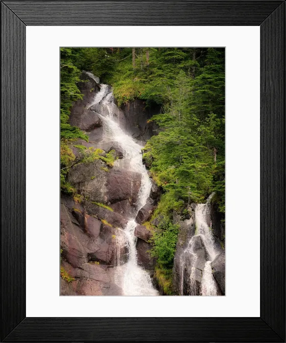 Framed Print : Kenai Peninsula. Two waterfalls surrounded by pine trees