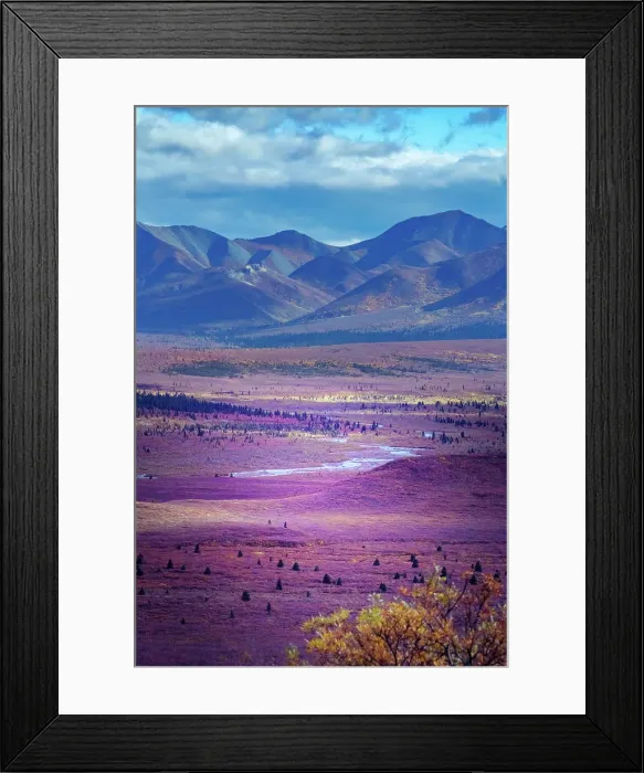 Framed Print : Alaska, Denali National Park. Autumn landscape of valley and mountains Framed Print : Alaska, Denali National Park. Autumn landscape of valley and mountains