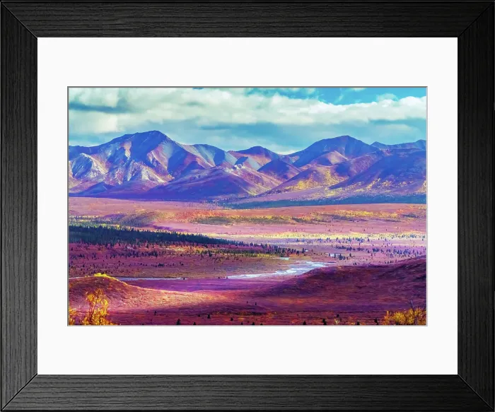 Framed Print : Alaska, Denali National Park. Autumn landscape of valley and mountains