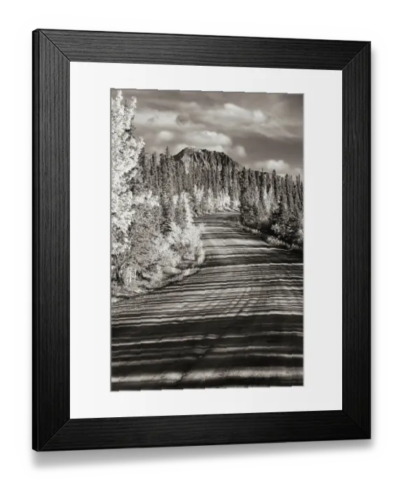 Framed Print : Alaska, Denali National Park. Road winding through Denali Framed Print : Alaska, Denali National Park. Road winding through Denali