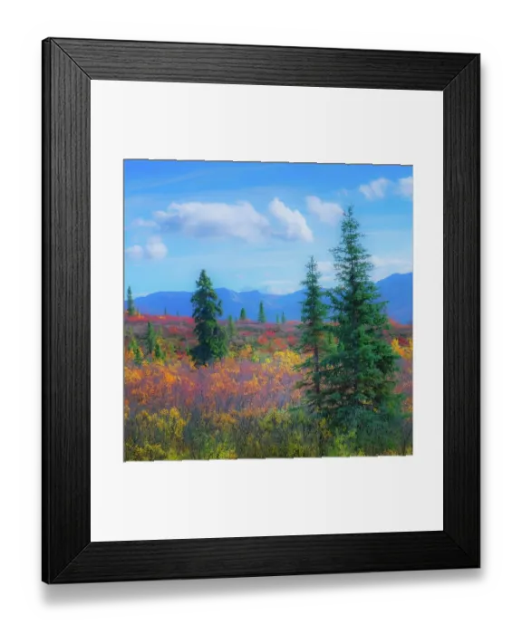 Framed Print : Alaska, Denali National Park. Fall landscape with fall colors