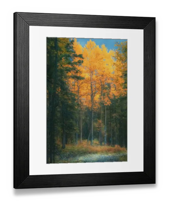 Framed Print : Alaska, Denali National Park. Fall landscape highlighting orange aspen tree