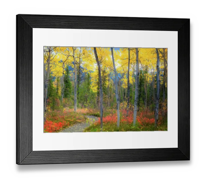 Framed Print : Alaska, Denali National Park. Path along a colorful fall landscape Framed Print : Alaska, Denali National Park. Path along a colorful fall landscape