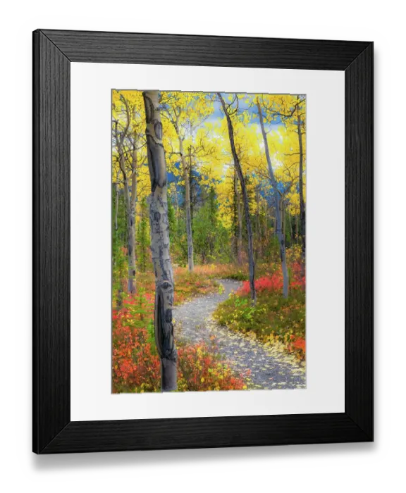 Framed Print : Alaska, Denali National Park. A hiking trail through fall foliage Framed Print : Alaska, Denali National Park. A hiking trail through fall foliage
