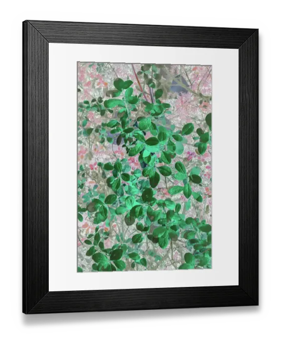 Framed Print : Alaska, Denali National Park. Artistic rendering of leaves