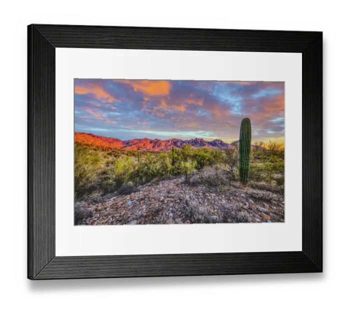 Framed Print : USA, Arizona, Catalina State Park. Sunset landscape with Catalina Mountains and desert