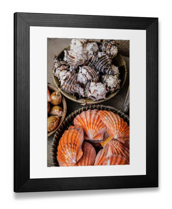 Framed Print : Arizona, USA. Seashells in woven baskets Framed Print : Arizona, USA. Seashells in woven baskets