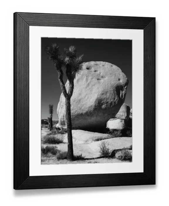 Framed Print : Joshua Tree National Park, California