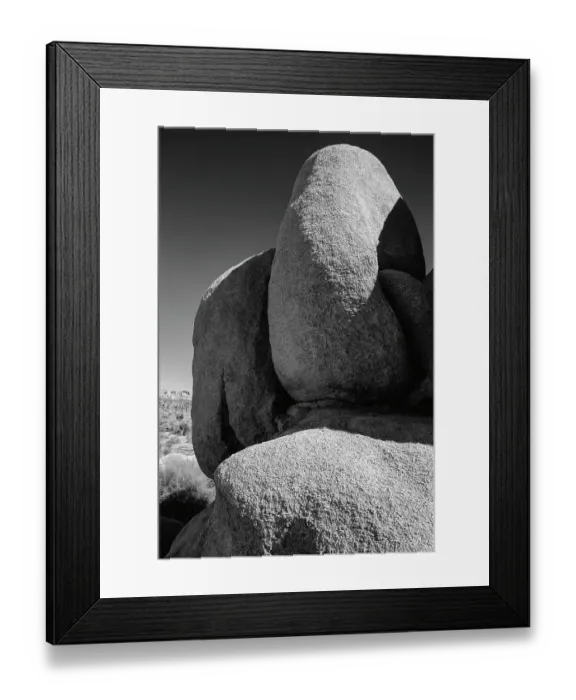 Framed Print : Granite Tree National Park, California
