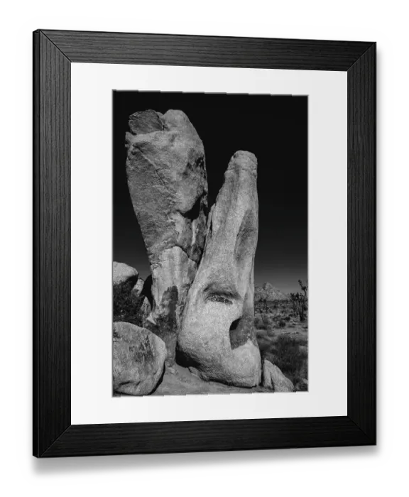 Framed Print : Joshua Tree National Park, California Framed Print : Joshua Tree National Park, California