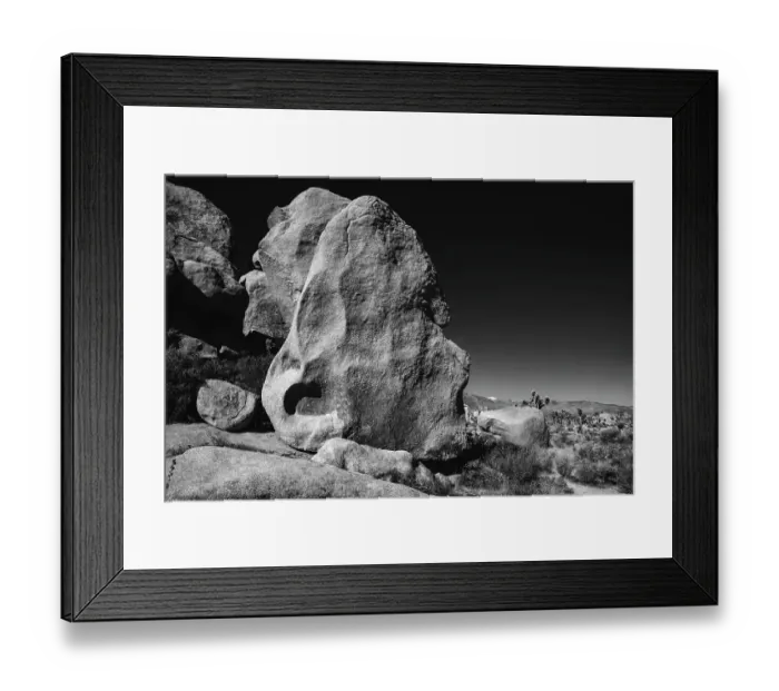 Framed Print : Joshua Tree National Park, California Framed Print : Joshua Tree National Park, California