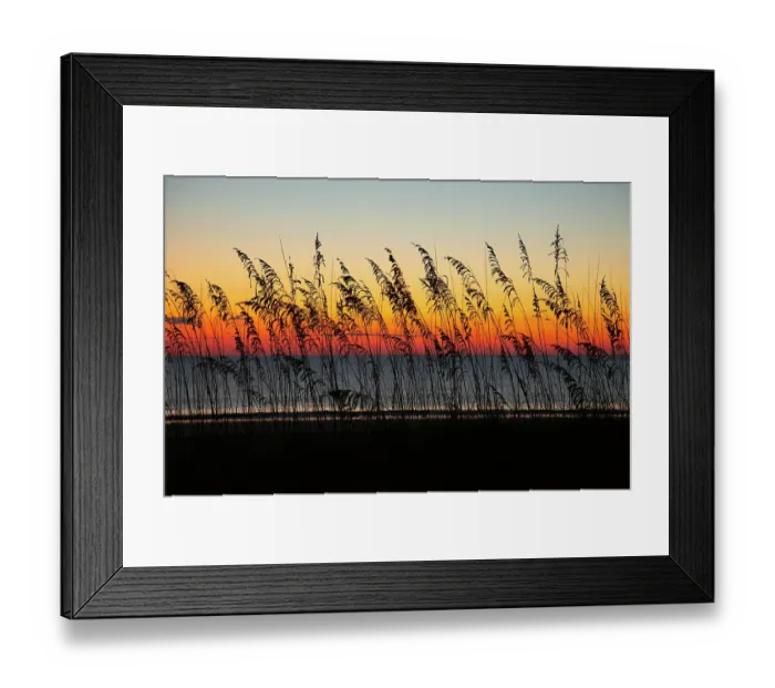 Framed Print : USA, Georgia, Tybee Island. Sunrise with silhouetted beach grass
