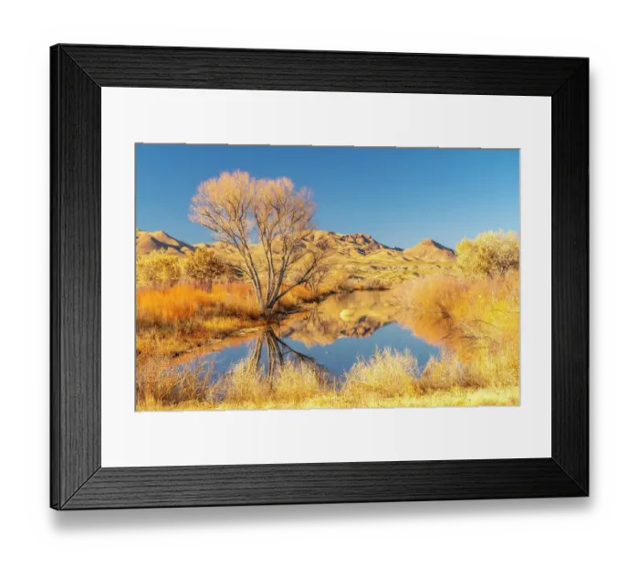 Framed Print : USA, New Mexico, Bosque Del Apache National Wildlife Refuge. Landscape with pond and mountains