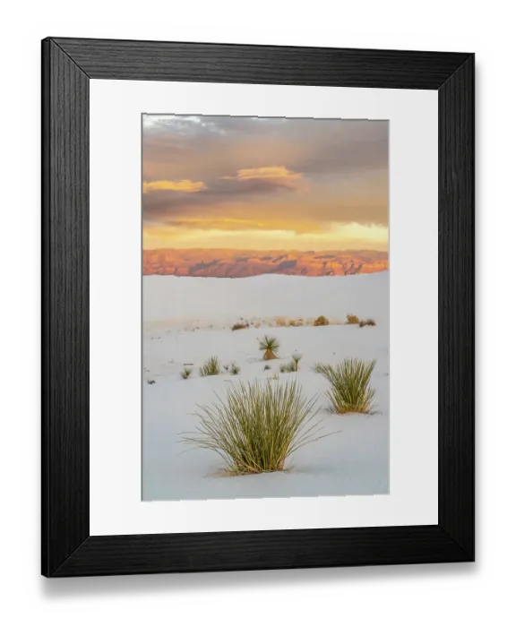 Framed Print : USA, New Mexico, White Sands National Monument. Clouds over sand dunes and yucca cactus Framed Print : USA, New Mexico, White Sands National Monument. Clouds over sand dunes and yucca cactus