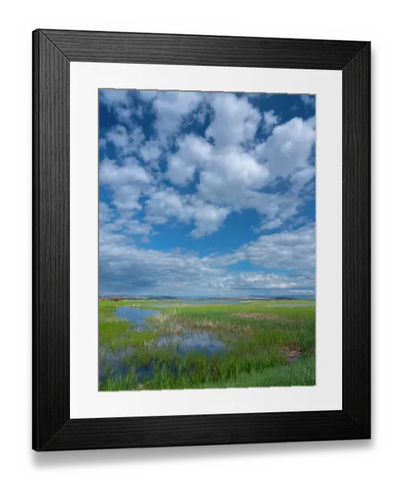 Framed Print : Malheur National Wildlife Refuge provides rich habitat for birds migrating between California and Alaska Framed Print : Malheur National Wildlife Refuge provides rich habitat for birds migrating between California and Alaska