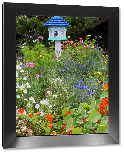 USA, Oregon. Cannon Beach and Cottage Garden with white birdhouse with blue roof