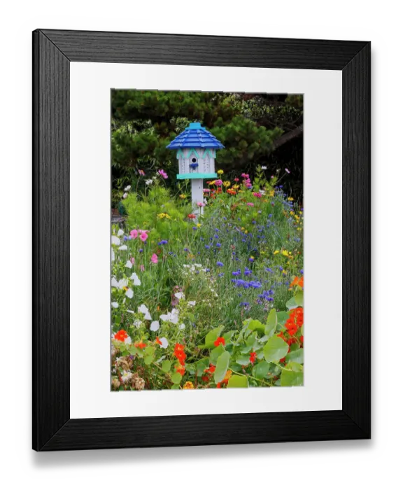 Framed Print : USA, Oregon. Cannon Beach and Cottage Garden with white birdhouse with blue roof