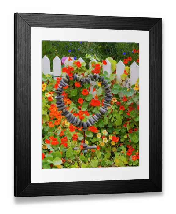 Framed Print : USA, Oregon. Cannon Beach and Cottage Garden with white picket fence and Nasturtiums
