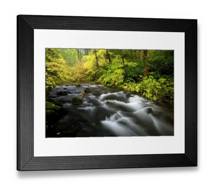 Framed Print : USA, Oregon, Silver Fall State Park fall colors along South Fork Silver Falls Creek Framed Print : USA, Oregon, Silver Fall State Park fall colors along South Fork Silver Falls Creek