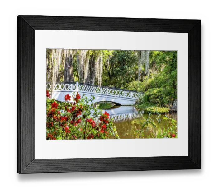 Framed Print : USA, South Carolina, Charleston. Magnolia Plantation Framed Print : USA, South Carolina, Charleston. Magnolia Plantation