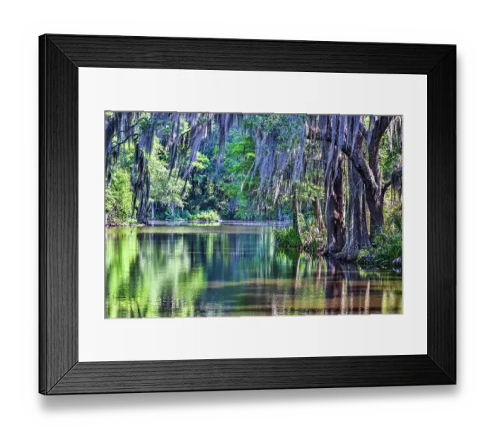 Framed Print : USA, South Carolina, Charleston. Magnolia Plantation Framed Print : USA, South Carolina, Charleston. Magnolia Plantation
