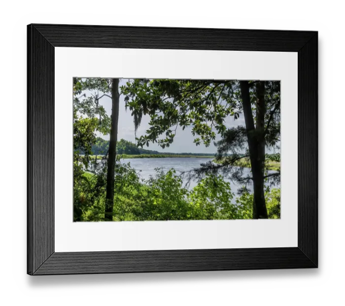 Framed Print : USA, South Carolina, Charleston. Middleton Plantation Framed Print : USA, South Carolina, Charleston. Middleton Plantation
