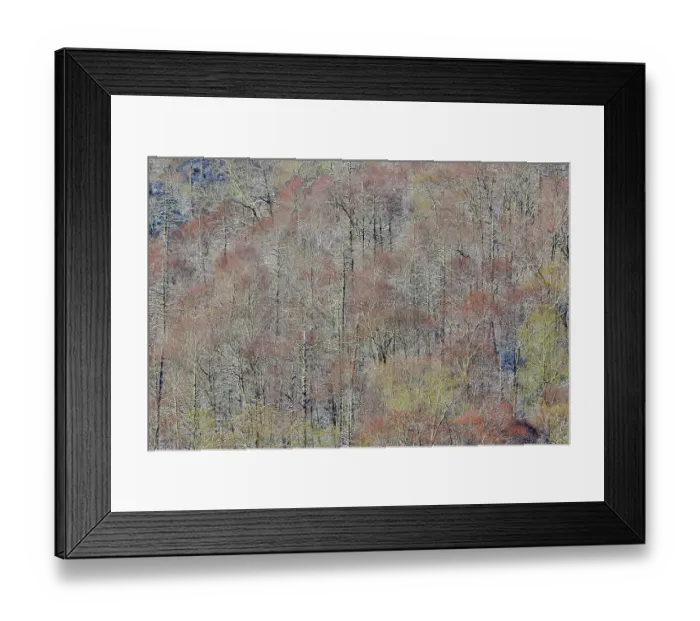 Framed Print : USA, Tennessee. Great Smoky Mountains National Park with late springtime snow
