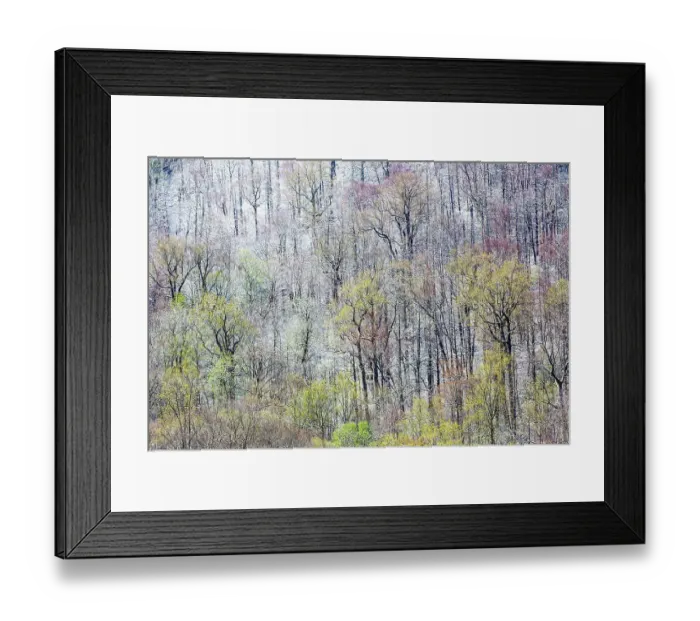Framed Print : USA, Tennessee. Great Smoky Mountains National Park with late springtime snow