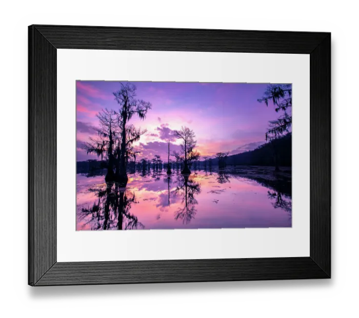Framed Print : Caddo Lake at sunrise Framed Print : Caddo Lake at sunrise