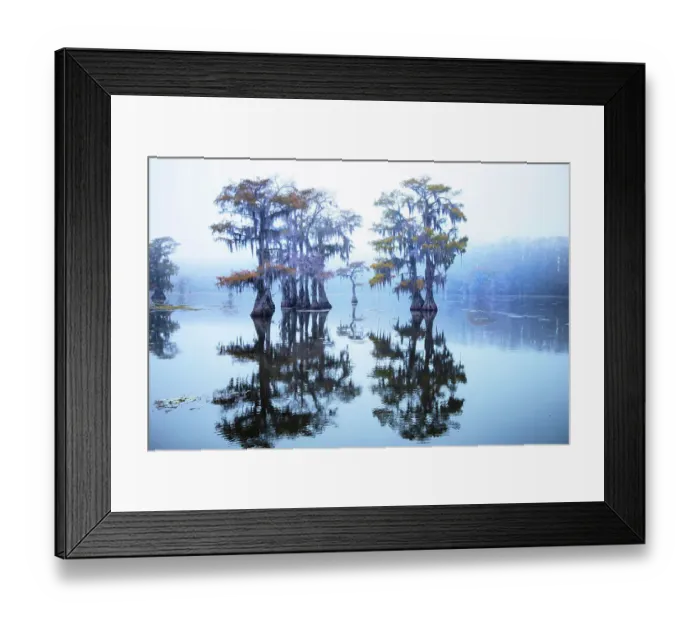Framed Print : Caddo Lake morning Framed Print : Caddo Lake morning