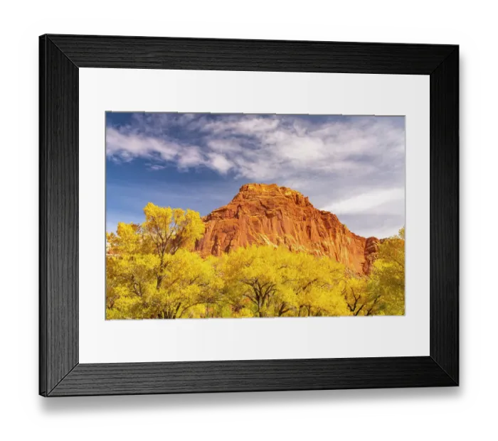 Framed Print : USA, Utah, Capitol Reef National Park. Red rock formation and fall cottonwood trees Framed Print : USA, Utah, Capitol Reef National Park. Red rock formation and fall cottonwood trees