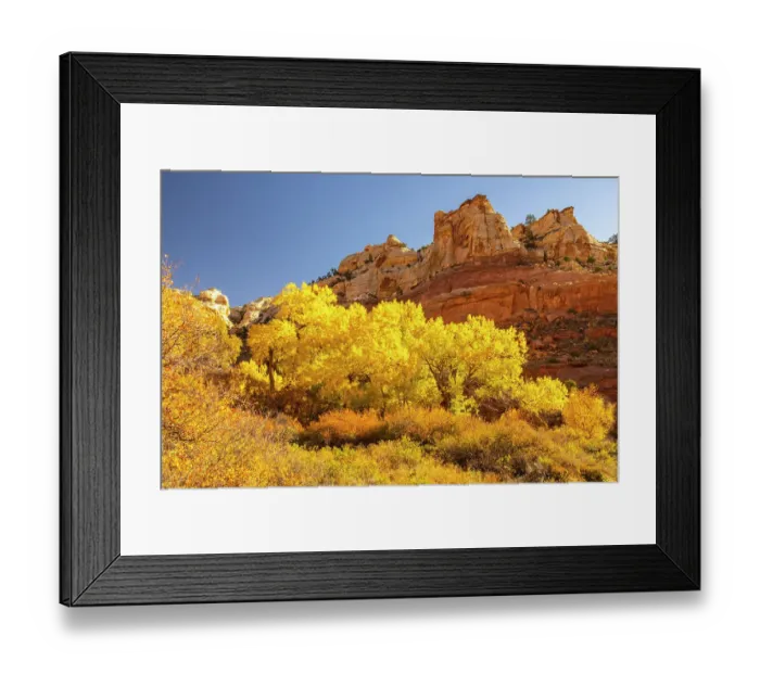 Framed Print : USA, Utah, Grand Staircase Escalante National Monument. Calf Creek Canyon landscape Framed Print : USA, Utah, Grand Staircase Escalante National Monument. Calf Creek Canyon landscape