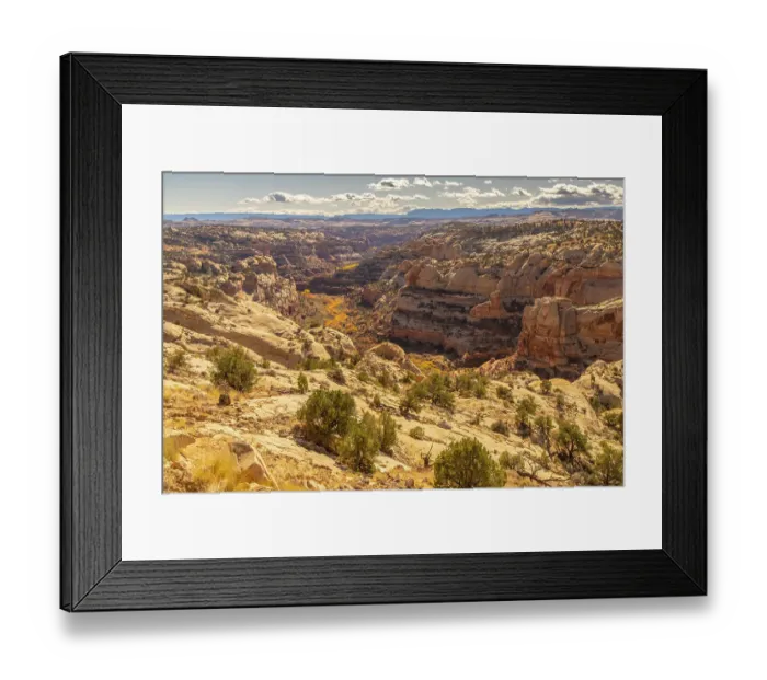 Framed Print : USA, Utah, Grand Staircase Escalante National Monument. Overview of cliff and autumn cottonwood trees