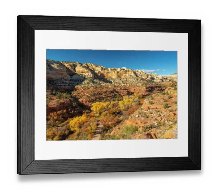 Framed Print : USA, Utah, Grand Staircase Escalante National Monument. Calf Creek Canyon and fall cottonwood trees Framed Print : USA, Utah, Grand Staircase Escalante National Monument. Calf Creek Canyon and fall cottonwood trees