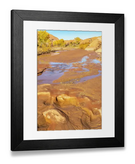 Framed Print : USA, Utah, Grand Staircase Escalante National Monument. Harris Wash and cottonwood trees in fall Framed Print : USA, Utah, Grand Staircase Escalante National Monument. Harris Wash and cottonwood trees in fall