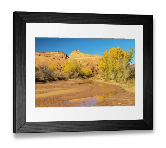 Framed Print : USA, Utah, Grand Staircase Escalante National Monument. Harris Wash and cottonwood trees in fall